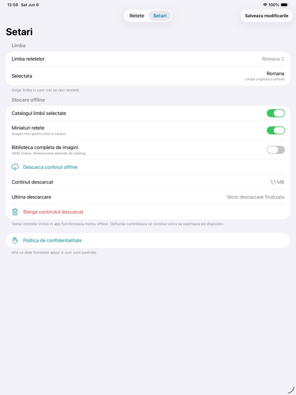 Offline and privacy settings screen on iPad.